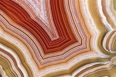 woodturning huge yew   lathe woodturning huge yew