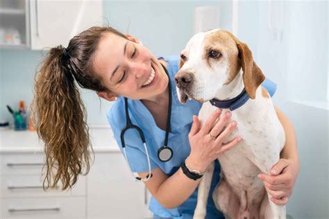 What Do Vet Techs Do? A Deep Dive - DaySmart Vet