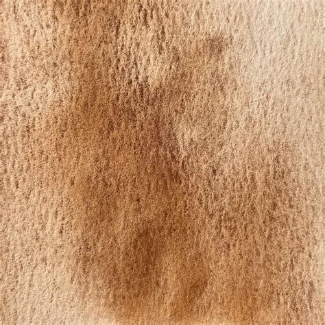Коричневая земля из Отранто / Brown earth from Otranto, кювета 2 мл ...