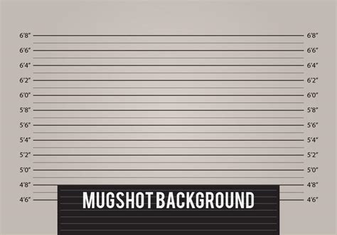 Mugshot Background Vector 110304 Vector Art at Vecteezy