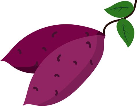 Yam Clipart PNG, Vector, PSD, and Clipart With Transparent - Clip Art ...
