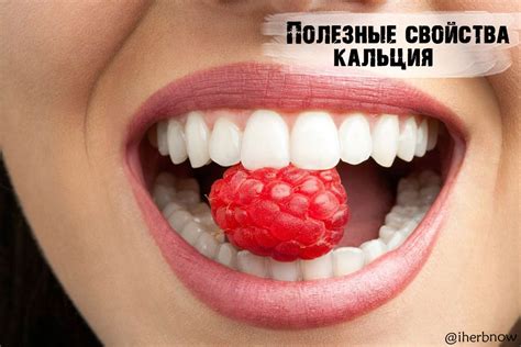 Для чего организму необходим кальций - польза и вред