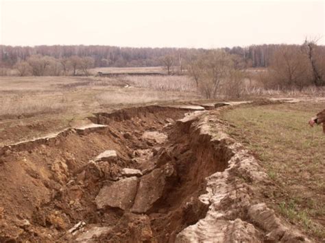 Дорога на дачу (4 фото)