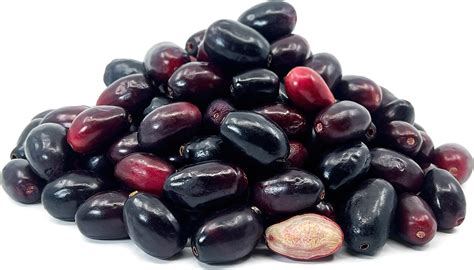 jamun information  facts