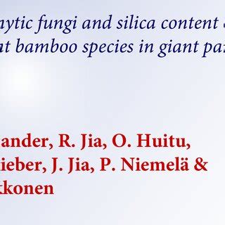 Colonies of CNU081055 (Bionectria ochroleuca) on potato dextrose agar ...