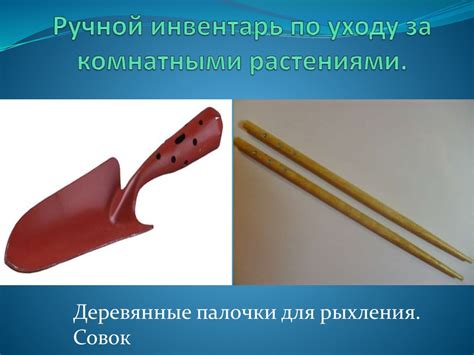 Уход за комнатными растениями - online presentation