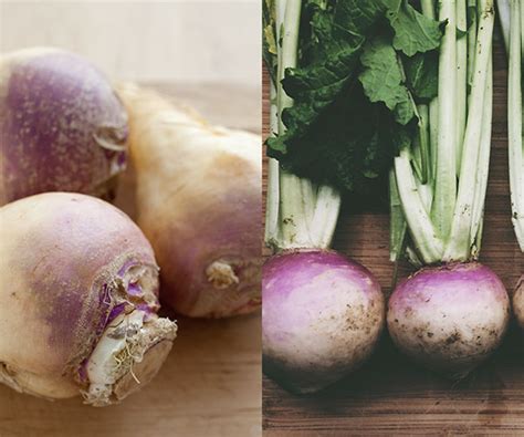 Rutabaga vs. Turnip: How to Tell the Difference Between These Yummy ...