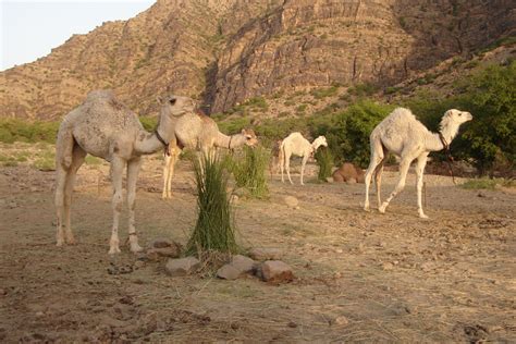 Kandi, Balochistan, Pakistan-Travel my Pakistan