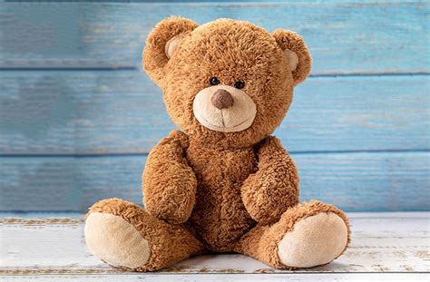 What is the history behind the teddy bear? | WGN-TV