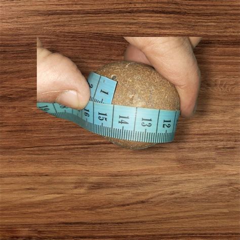 In Romsey UK a rare medieval artifact was just discovered 31