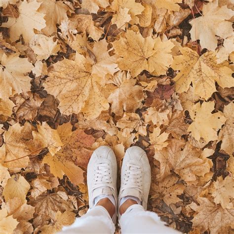 Journal Prompts For Fall Equinox