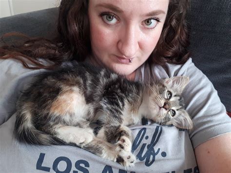 Big titties are perfect for tiny kitties | Scrolller