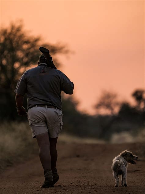 The Fearless Safari Dogs of South Africa | Outdoor Life