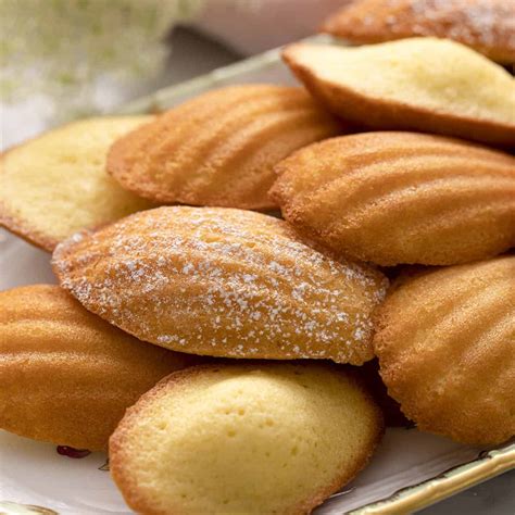 Madeleine (Cake) Bakery Near Me at Hazel Barksdale blog