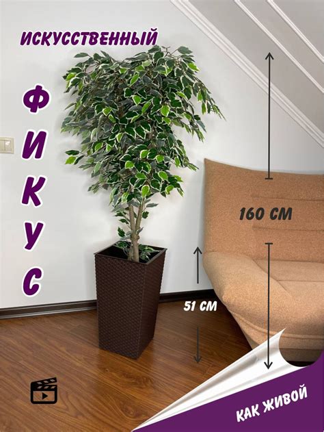Купить Искусственный фикус, декоративное растение, комнатный цветок ...