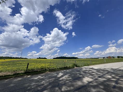 Kayla - How are you enjoying this great weather? I took this on my run