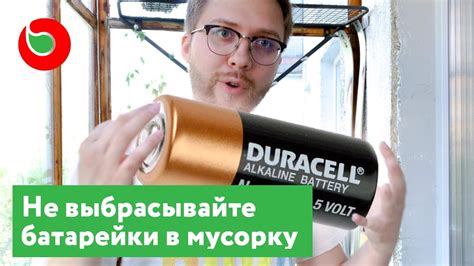 Куда сдать батарейки на утилизацию? Почему их нельзя выбрасывать ...