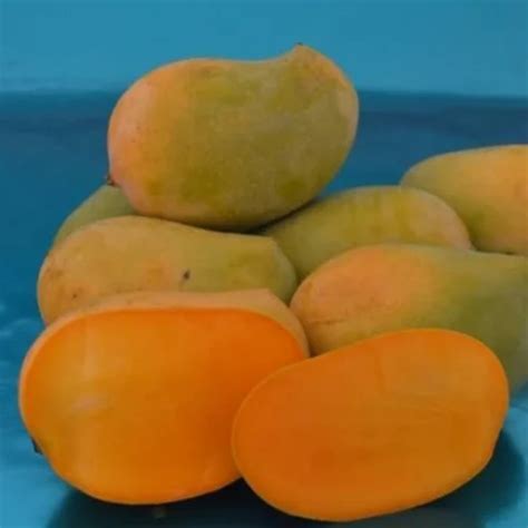 green  grade organic mango carton packaging size  kg