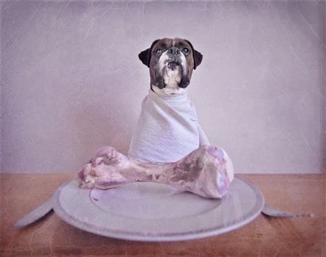 Extremely strange pet behavior