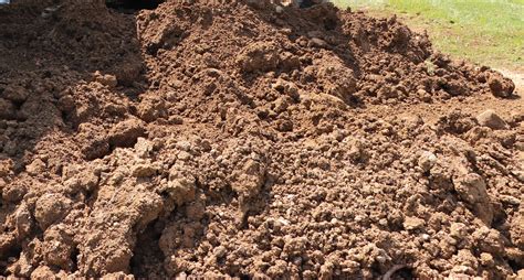Silt Loam Soil