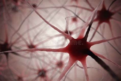 Нейроны в мозге, иллюстрации 3D нервной системы Иллюстрация штока ...