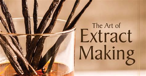 art  extract making book mama likes