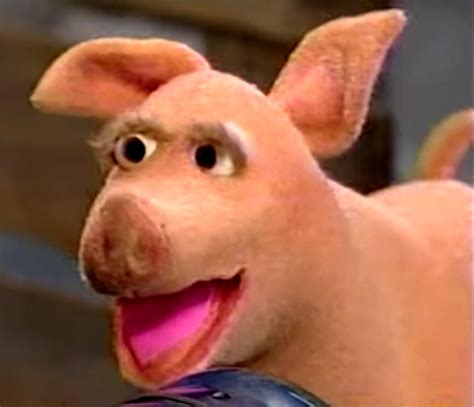 Sooey the Pig | Muppet Wiki | Fandom
