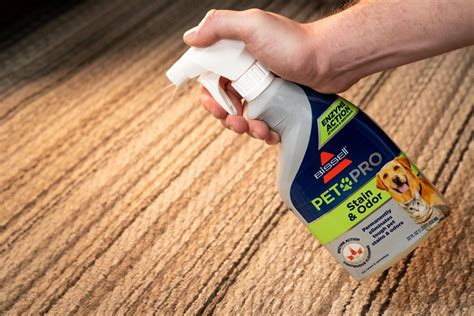 how to remove stain on carpet 7