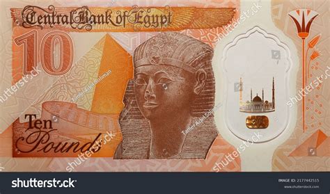 638 Ten Egyption Pounds Images, Stock Photos & Vectors | Shutterstock