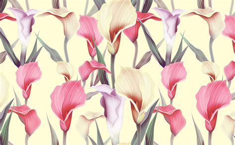 calla lily wallpaper 8