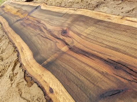 Black Jack Oak Live Edge Plank - 2"x 17-19"x 10' 7"