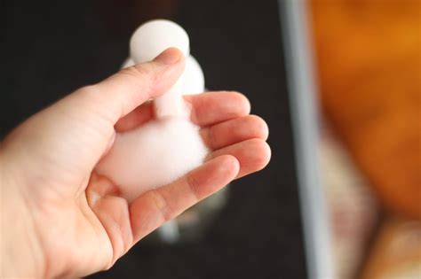 The Really Crunchy Mom: Foaming Soap