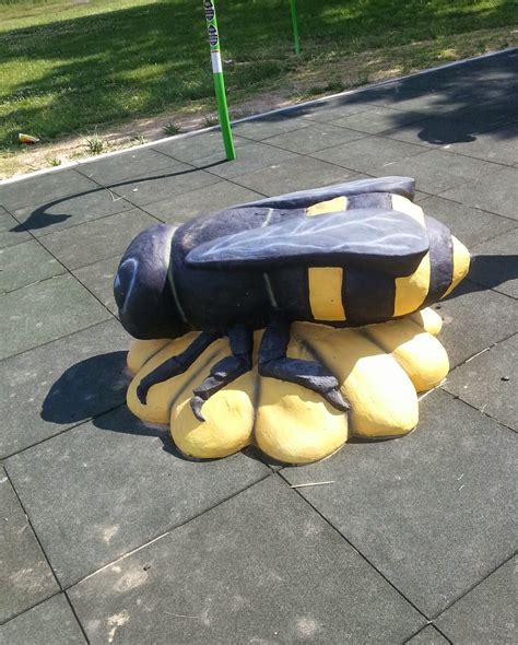 Great Marsh Park | Life On The Shore