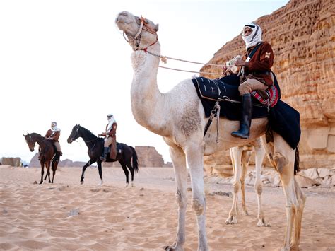 Treasures of Arabia – Hill Robinson