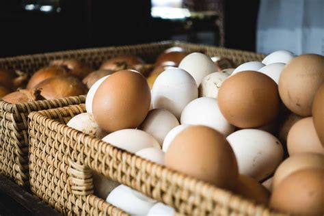 How To Store Eggs For A Long Time | Storables