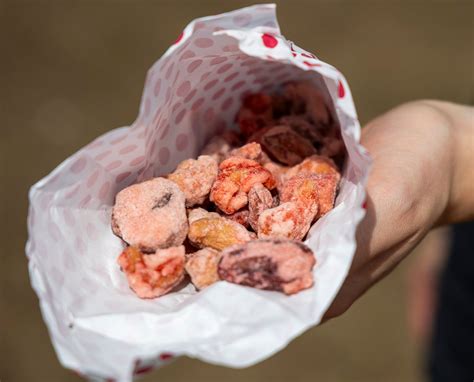 6 berry good dishes we loved at 90th Florida Strawberry Fest