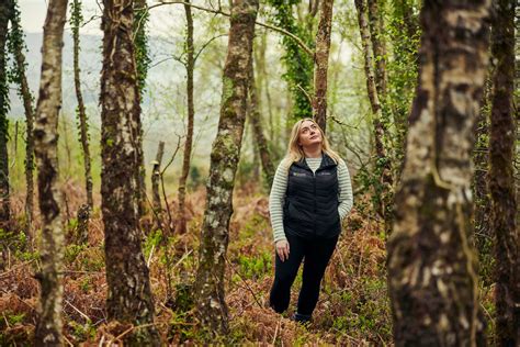 Dartmoor Savannah Brown
