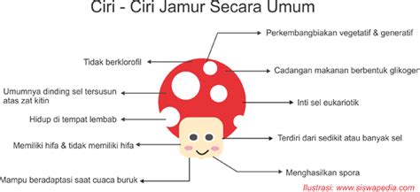 Ciri-Ciri Fisiologi Jamur | Siswapedia