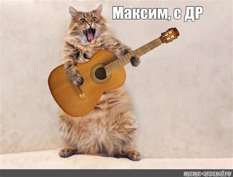 Создать комикс мем "лохматые коты, кот играет на гитаре, котик с ...