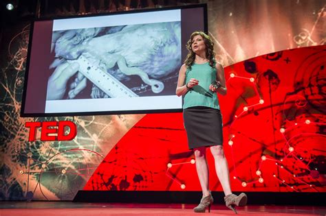 Sex in the animal kingdom: Q&A with Carin Bondar | TED Blog