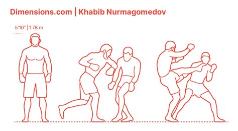 UFC Octagon Dimensions & Drawings | Dimensions.com
