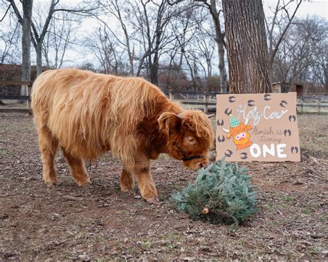 Nashville Zoo - Nashville Zoo added a new photo.