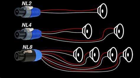 NL2 vs NL4 vs NL8 [Neutrik SpeakON Speaker Cable Connectors] – Audio ...
