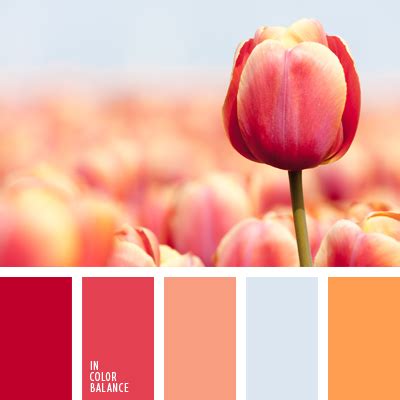 нежные оттенки малинового | IN COLOR BALANCE