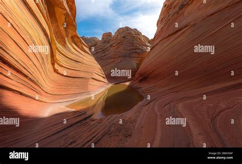 Beautiful landscape photography of The Wave in North Coyote Buttes