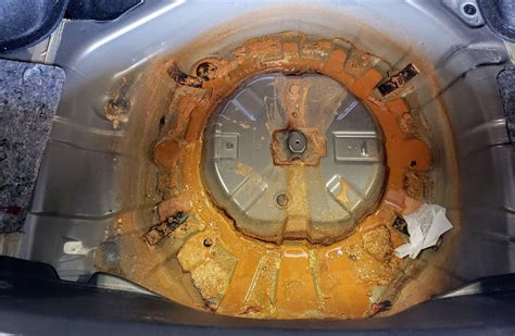 Customer stated car smells like dead animal : r/Justrolledintotheshop