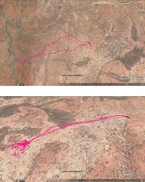 Livestock grazing movement tracks in HGA (a) and TGA (b) during dry ...