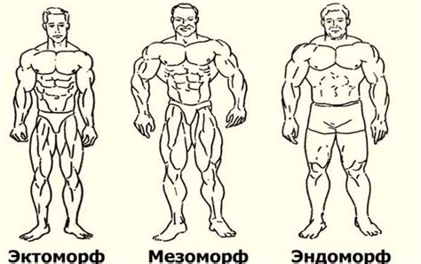 Мезоморф - кто это такой и как его определить