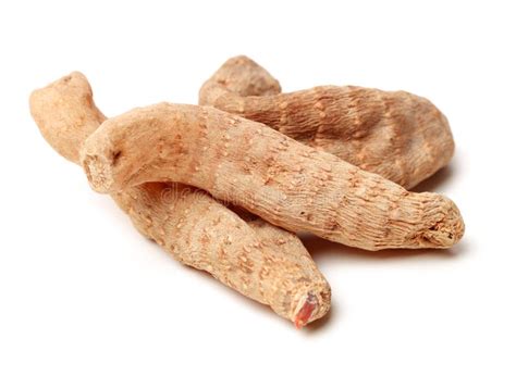 Gastrodia elata stock photo. Image of white, background - 119607198