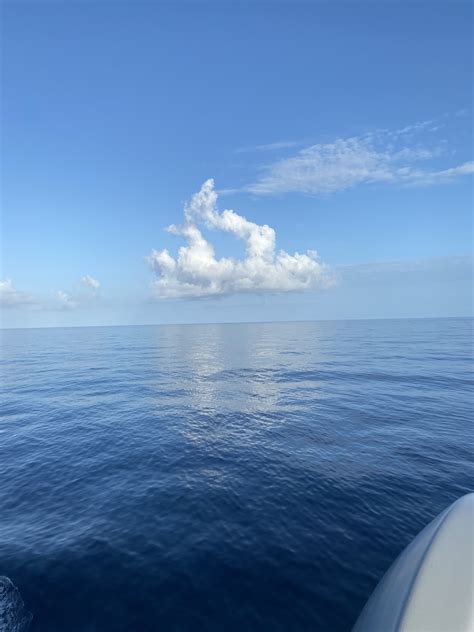 kassikar OnlyFans - Free Trial - Photos - Socials | FansMetrics.com